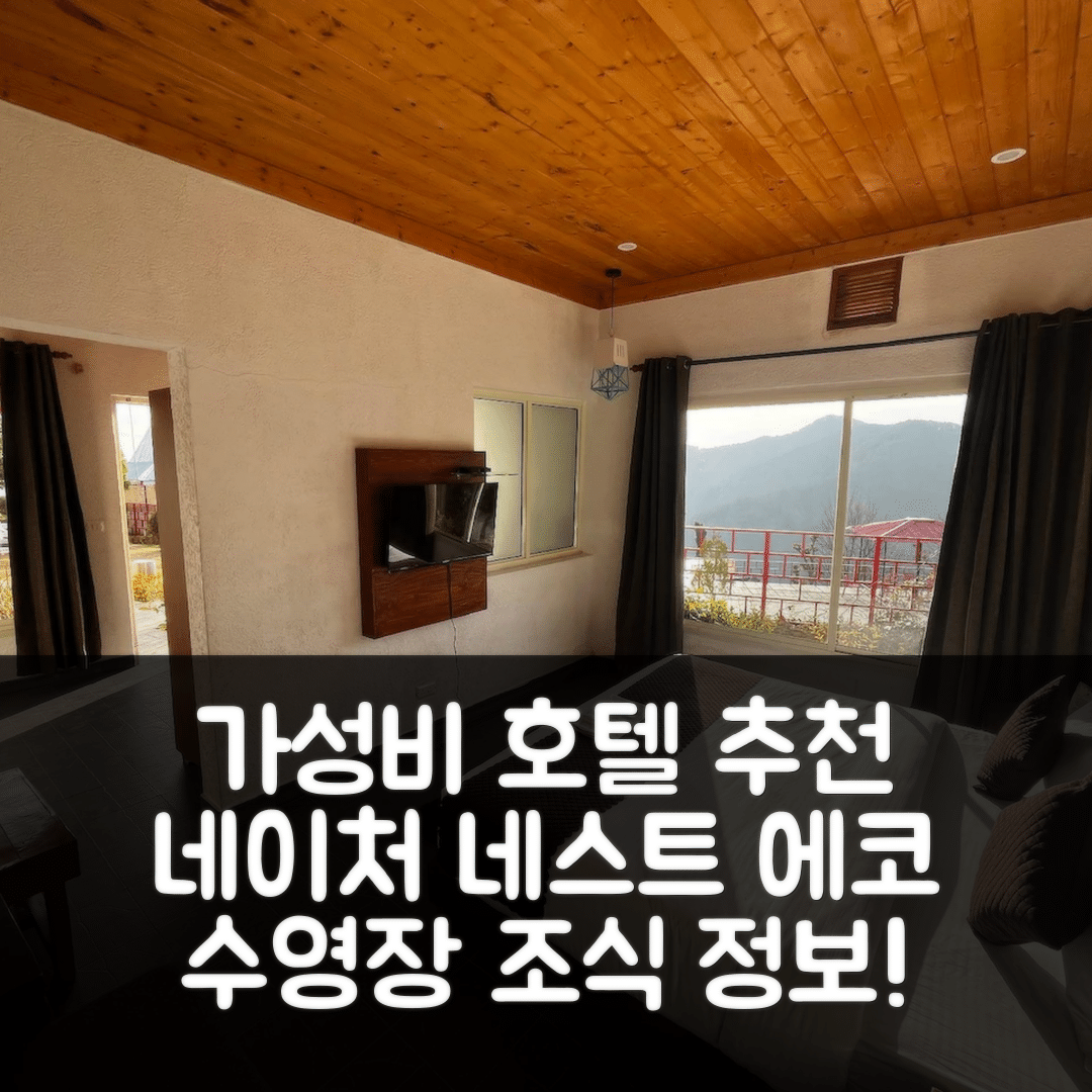 심라 숙소 여행 호텔 추천 네이처 네스트 에코 리조트 코티 | 가성비 우수한 수영장과 조식 정보 5가지