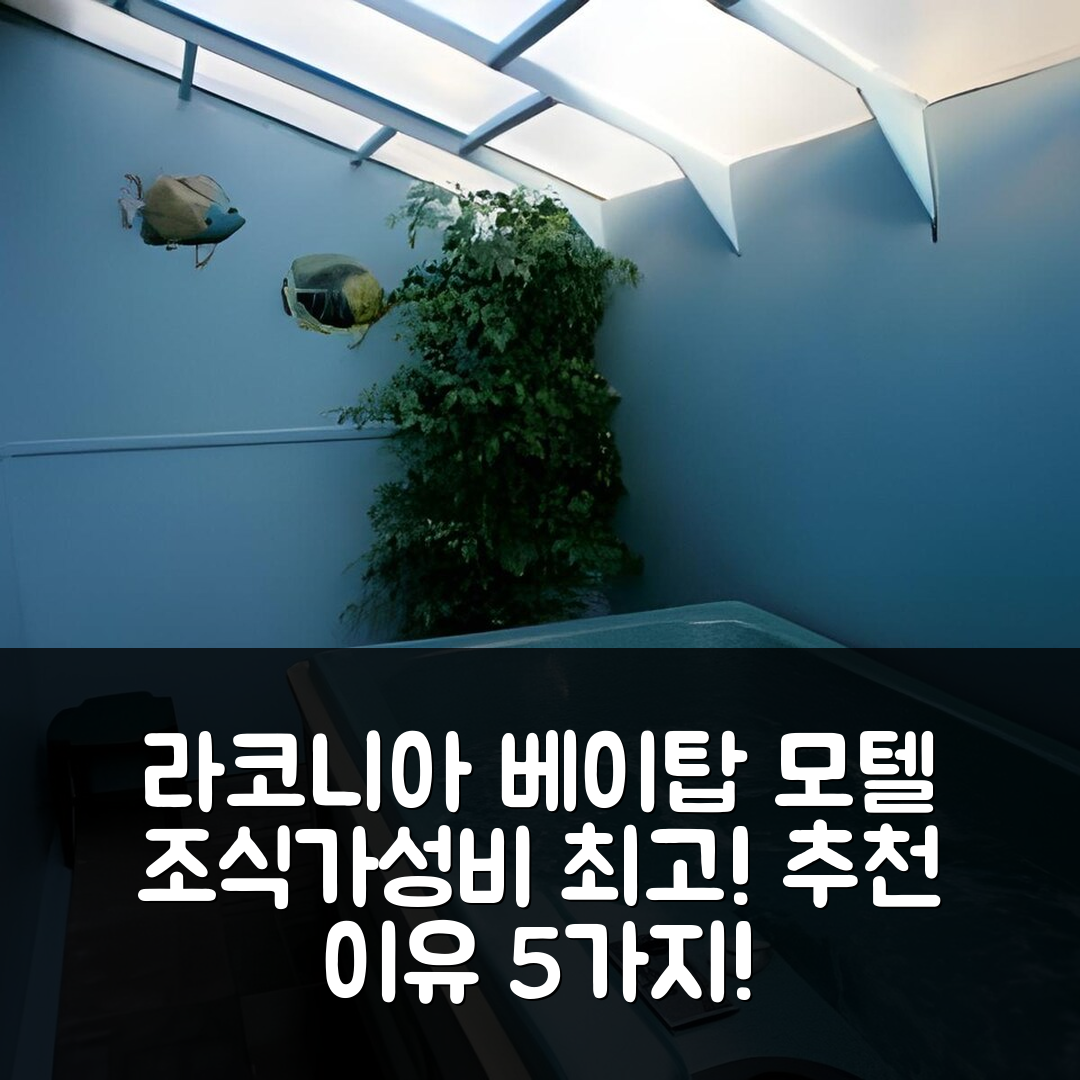 라코니아 숙소 여행 호텔 추천 베이 탑 모텔 | 조식과 가성비 뛰어난 5가지 이유와 예약 팁