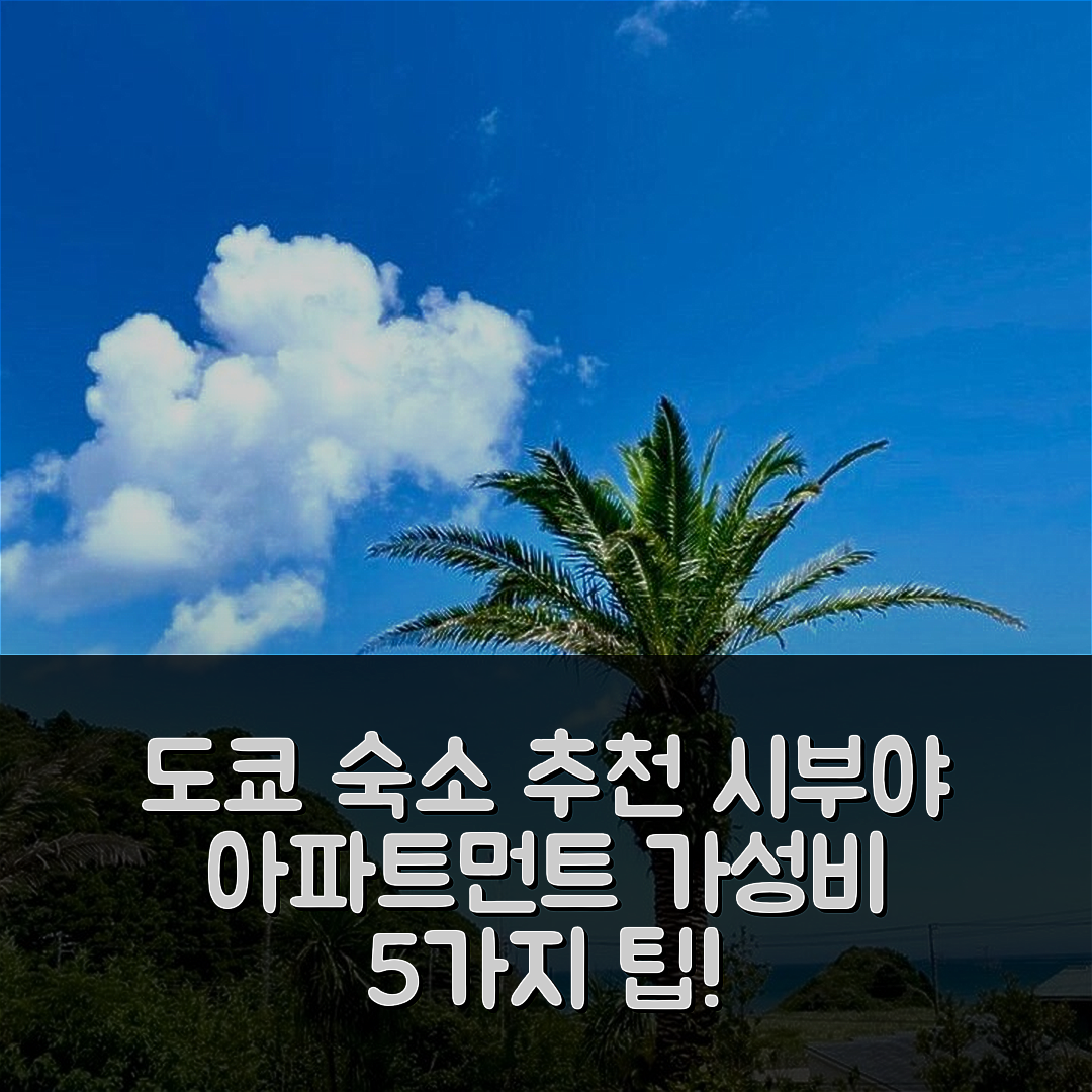 도쿄 숙소 여행 호텔 추천 시부야의 아파트먼트 | 26m² 프라이빗 욕실과 가성비 좋은 위치 5가지 팁