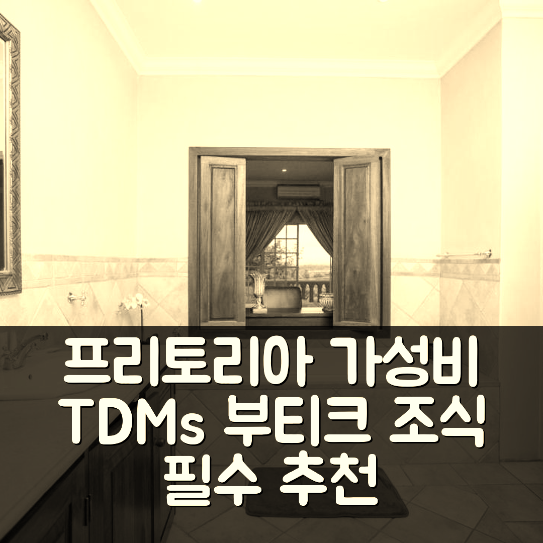 프리토리아 숙소 여행 호텔 추천 TDM's 부티크 게스트 하우스 | 가성비와 조식이 뛰어난 5가지 이유
