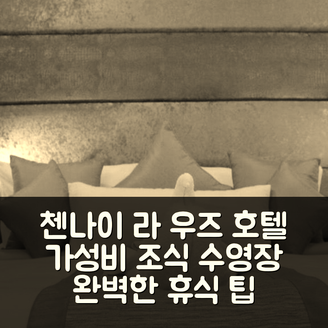 첸나이 숙소 여행 호텔 추천 라 우즈 호텔 | 가성비 좋은 조식과 수영장으로 완벽한 휴식 5가지 팁