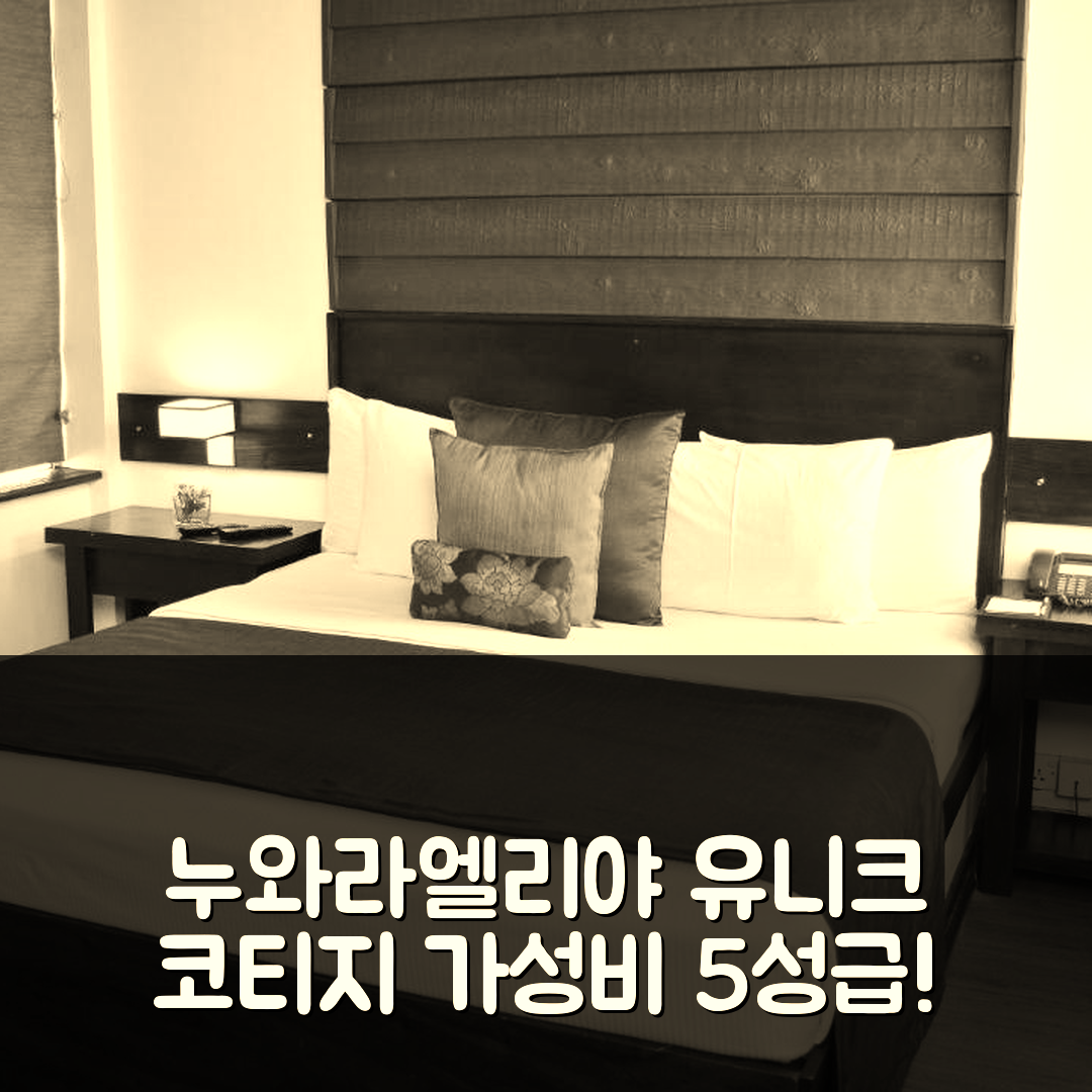 누와라 엘리야 숙소 여행 호텔 추천 유니크 코티지 | 가성비 좋은 5성급 수영장과 조식 정보 7가지