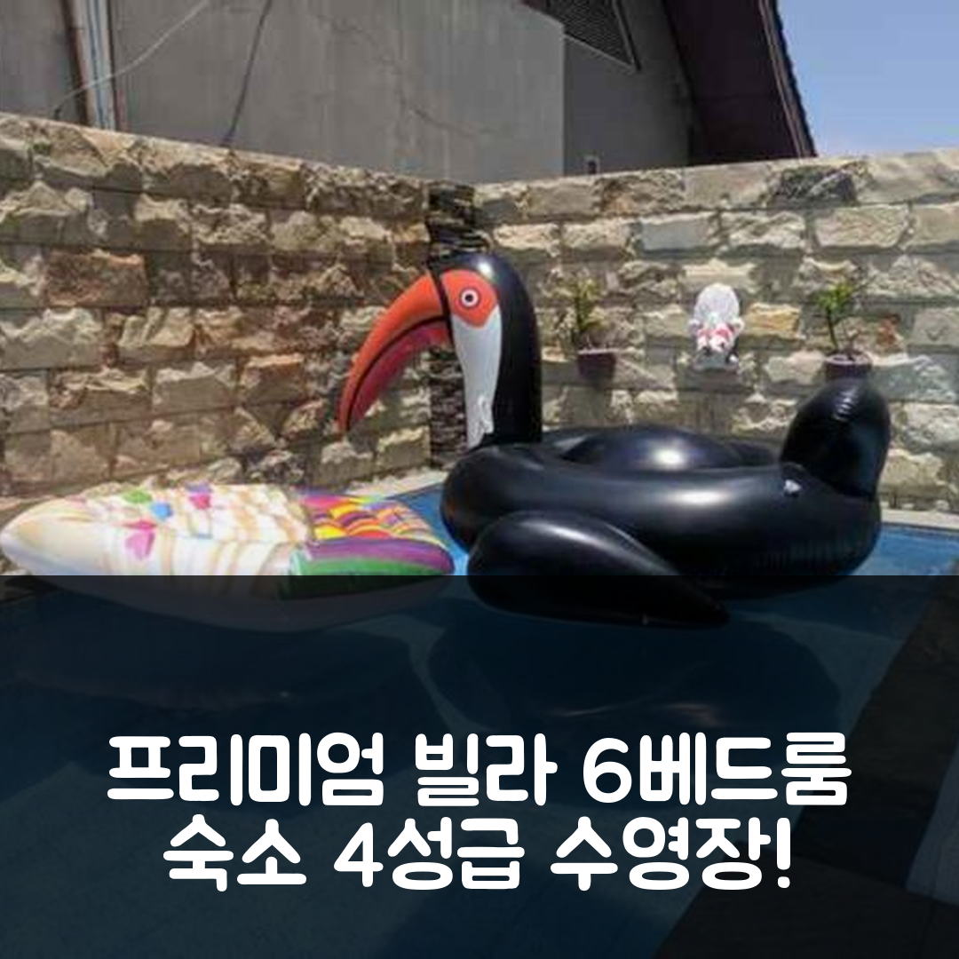 말랑 숙소 여행 호텔 추천 빌라 프리미엄 F19 피누스 6베드룸 | 4성급 수영장과 조식 비용 정보 7가지