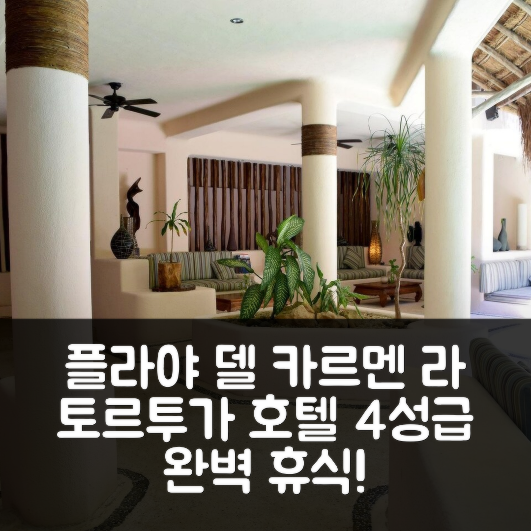 플라야 델 카르멘 숙소 여행 호텔 추천 라 토르투가 호텔 앤 스파 | 4성급 조식과 수영장으로 즐기는 완벽한 휴식 7가지 팁