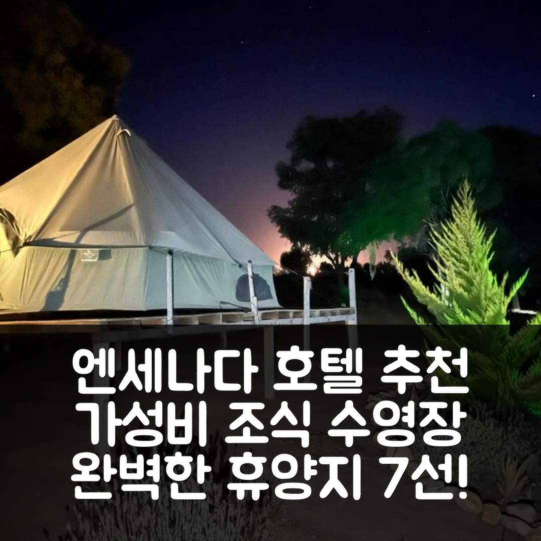엔세나다 숙소 여행 호텔 추천 라고 발레 와인 글램핑 | 가성비 좋은 조식과 수영장으로 완벽한 휴양지 7가지 이유