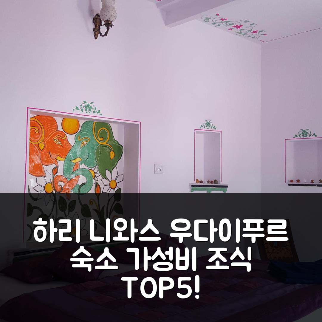 우다이푸르 숙소 여행 호텔 추천 하리 니와스 게스트 하우스 | 가성비와 조식이 뛰어난 5가지 이유