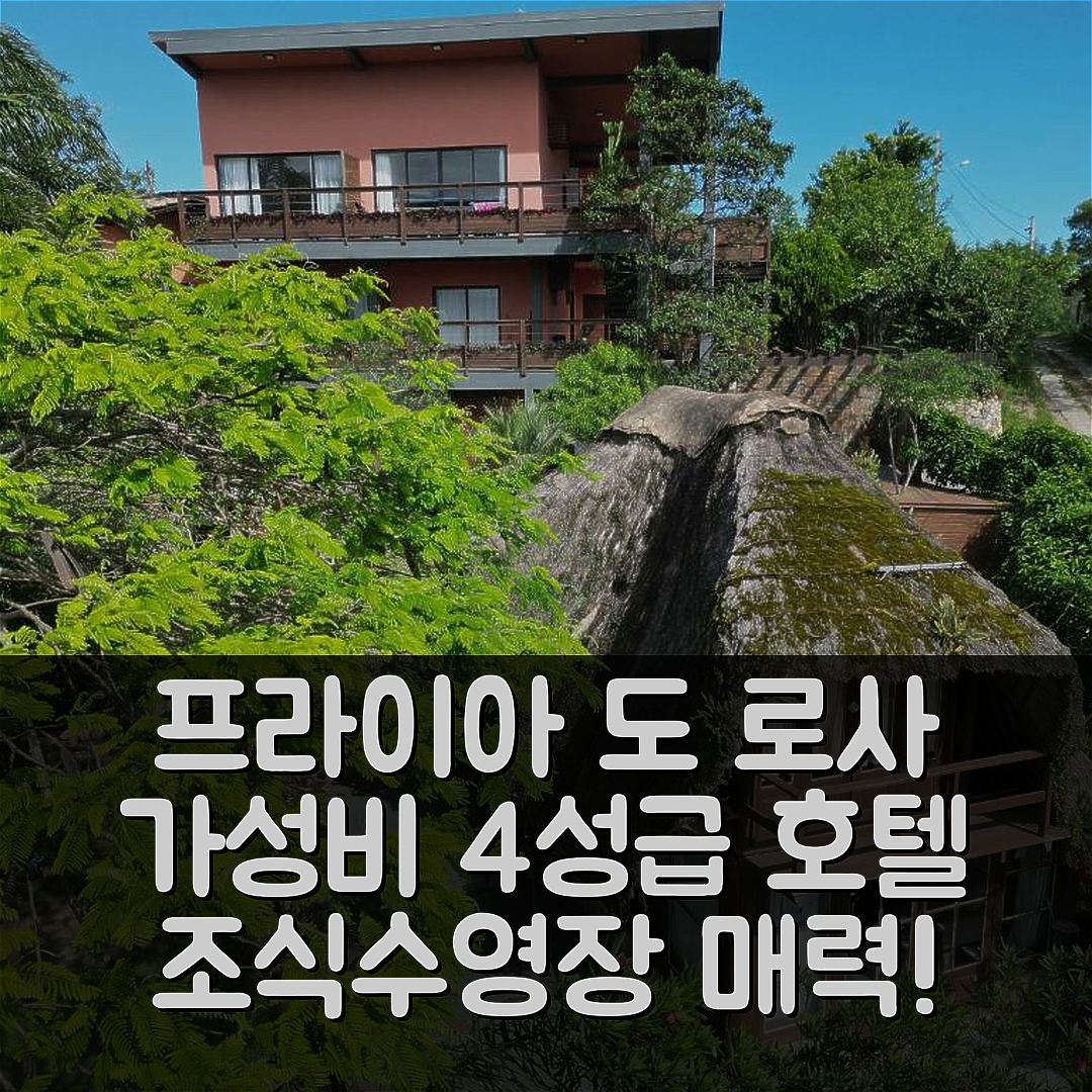 프라이아 도 로사 숙소 여행 호텔 추천 호스페다리아 노이치 루나 | 가성비 좋은 4성급 조식과 수영장 5가지 매력