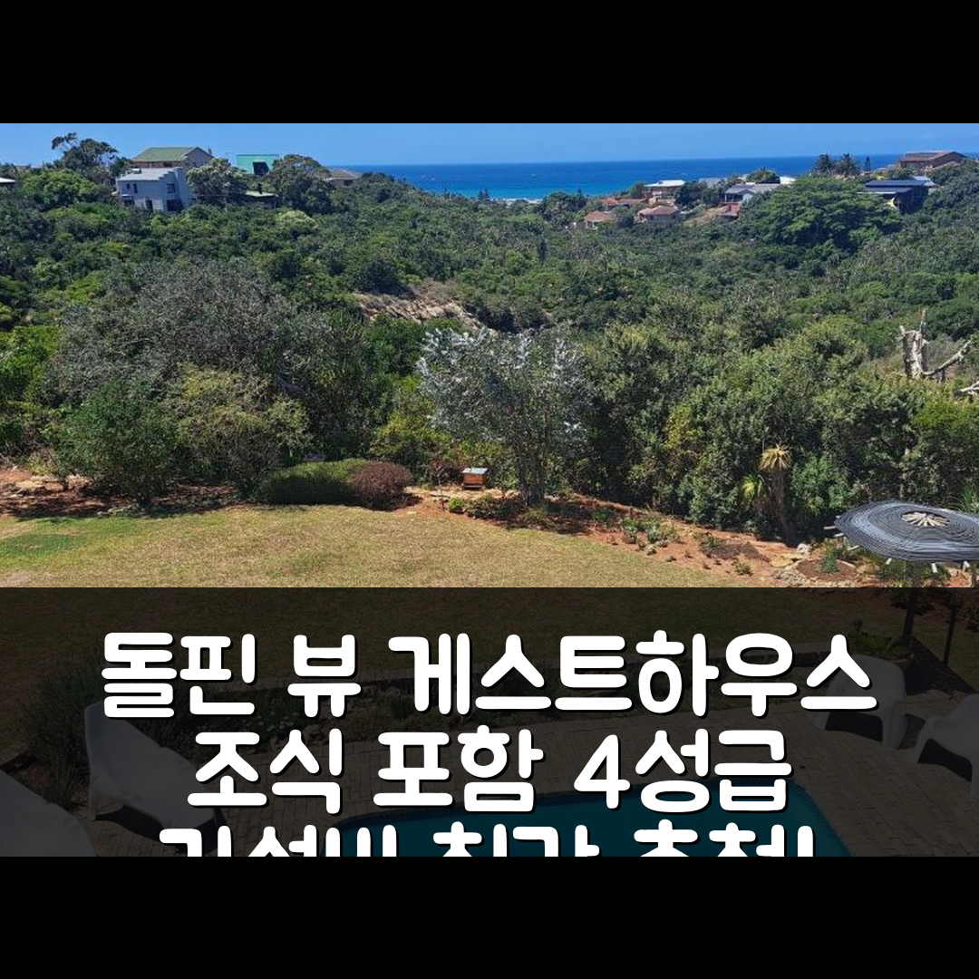 제프레이스 베이 숙소 여행 호텔 추천 돌핀 뷰 게스트하우스 | 조식과 가성비 좋은 4성급 호텔의 7가지 매력
